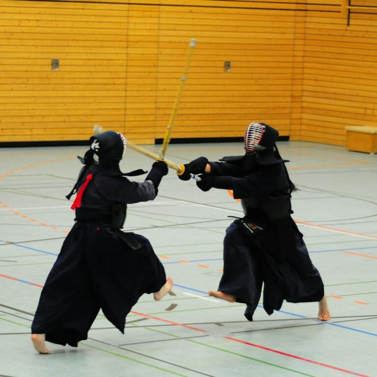 Entraînement au dojo